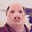 John Pork