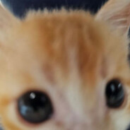 musordrop enjoyer Steam avatar