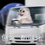 AAA猫头车司机
