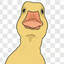 Quack-ed