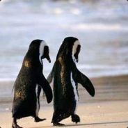 March - steam id 76561197962692006