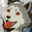 Teki