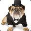 TuxBulldog