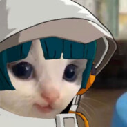 红烧鸡仔捞汁饭