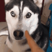 Don't touch my supplies