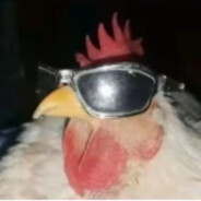Chiken