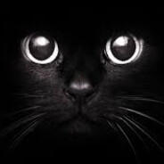 Dark cat