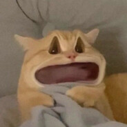 诅咒开挂的出门就被撞