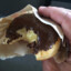 Boston Cream