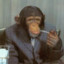 Wall St. Monkey