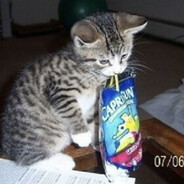 ВАДIM баран v.p.n.