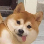 泡泡小子就是我