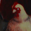 TS
