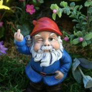 Mr.Gnome