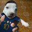 Kylian Dogbappé