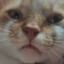 katanava_