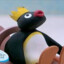 Pingu