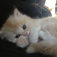 AXAXAXAXAXAXAXAXAXAXAXAXAXAXA