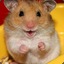 Hamster