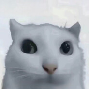 TYSON