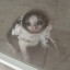 KITSUNE