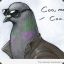 Pigeons Rule
