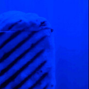 Піся дєвачкі