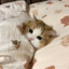 我叫徐门泰