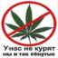 mmozg