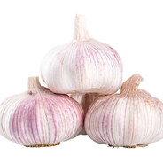 garlicsauce