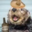 Jmandog667