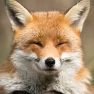 HaijaFluffoFoxboy