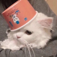 爱情公寓贱人曾bzhz