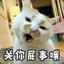 我兔妹