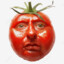 TOMATE