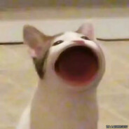 因为乌鸦很像写字台