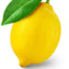 John KnightLemon