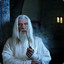 gandalffthewhite