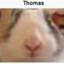 Thomas