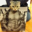 MUSCLE CAT