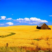 梦诛-海南 出宝瓶