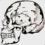 BoneCracker
