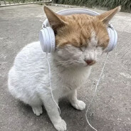 一个路人