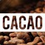 Cacao