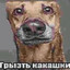 грызть какашки
