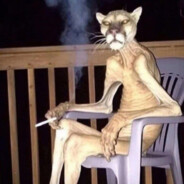 Витя Пупкин