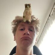 jacinek