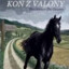 Koń z Valony