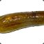 TheLonePickle