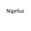 Nigellus